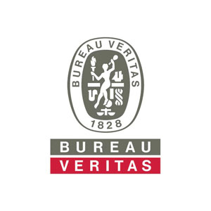 bv logo
