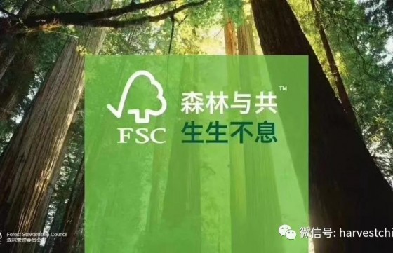 标准同行|敦化源源木业获法国BV-FSC/CoC森林产业产销监管链认证示意图片