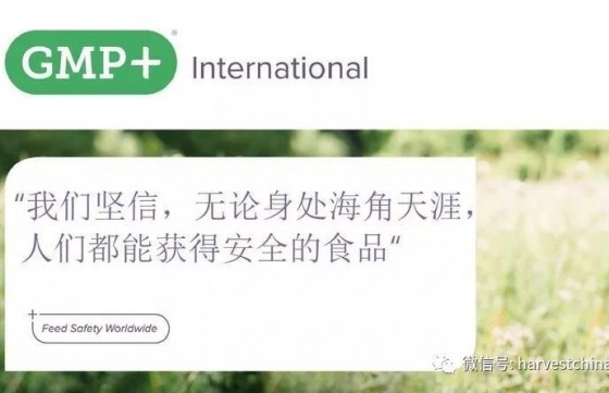 GMP+饲料安全保证(GMP+ FSA)及GMP+饲料责任保证(GMP+ FRA） feature image