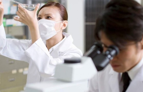ISO13485认证咨询示意图片