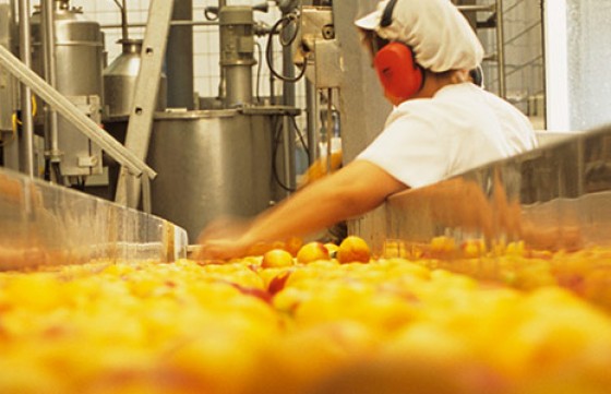 HACCP 认证咨询示意图片