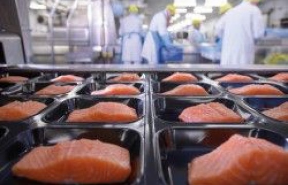 BRC食品包装及其接触材料体系内审员示意图片